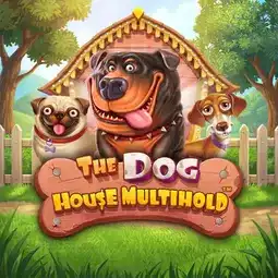 The Dog House Multihold game at Betzillo Casino for Australia players